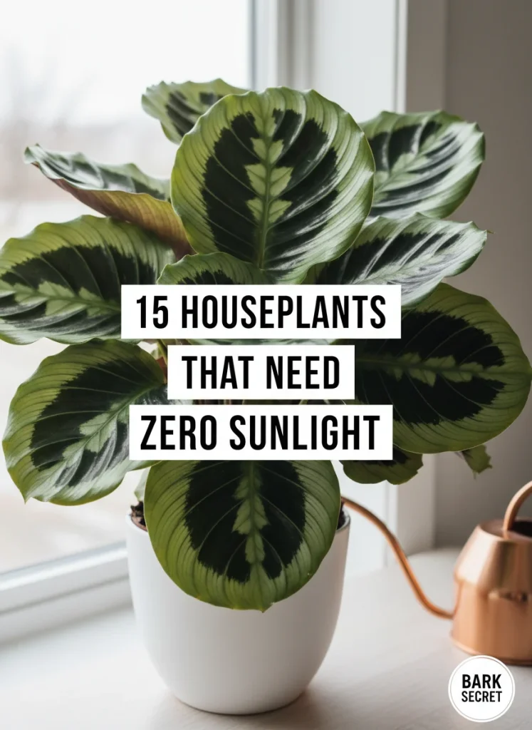 Save this pin to your Pinterest gardening board to easily find it later