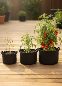 What Size Grow Bag for Tomatoes? I Got It Wrong the First Time. Here Is the Answer.